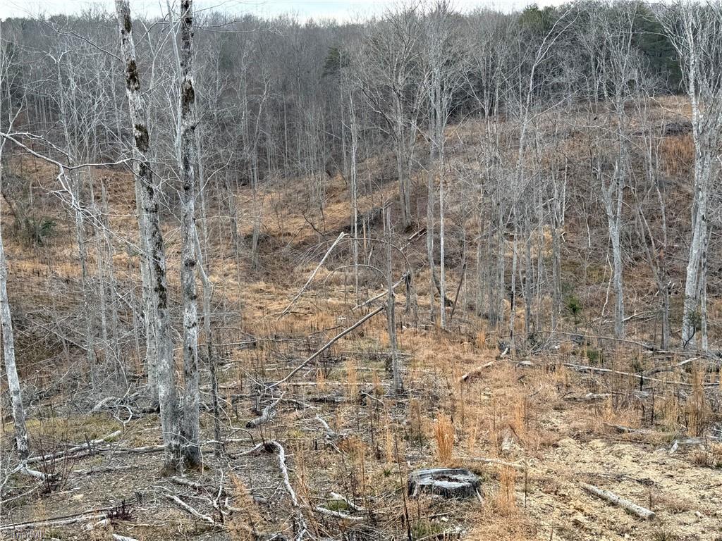 19.25-ac Pork Trail Pinnacle, NC 27043 - Photo 7 of 11