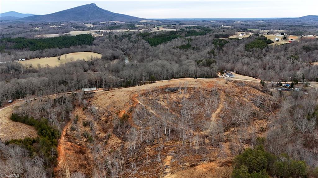 19.25-ac Pork Trail Pinnacle, NC 27043 - Photo 8 of 23