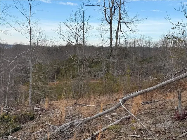 $149,900 | 19.25-ac Pork Trail, Pinnacle, NC 27043