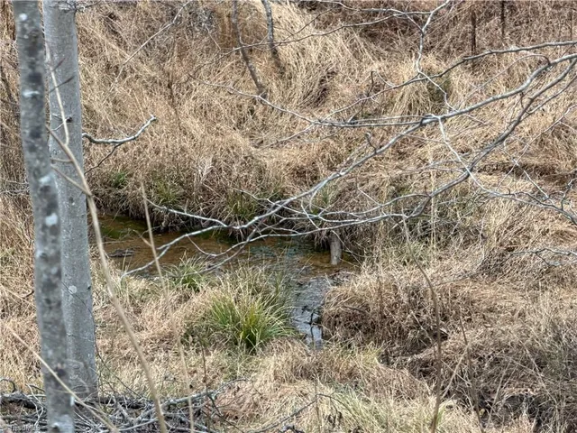 $149,900 | 19.25-ac Pork Trail, Pinnacle, NC 27043