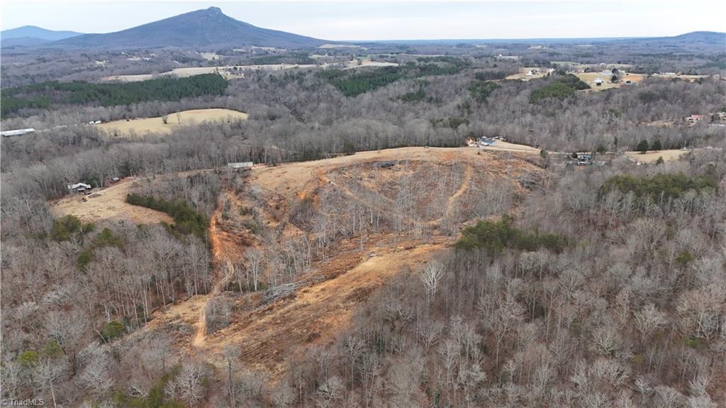 19.25-ac Pork Trail Pinnacle, NC 27043 - Photo 10 of 23