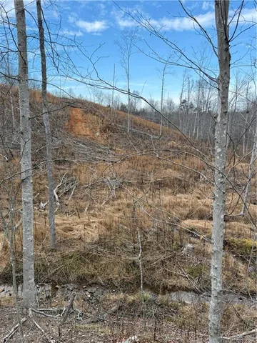 $149,900 | 19.25-ac Pork Trail, Pinnacle, NC 27043