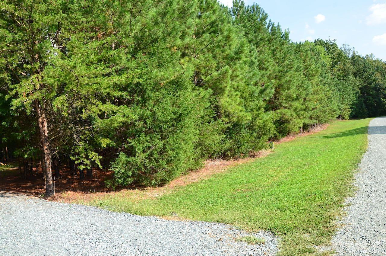 51 Blue Grass Trail Pittsboro, NC 27312 - Photo 29 of 29 Photo #29