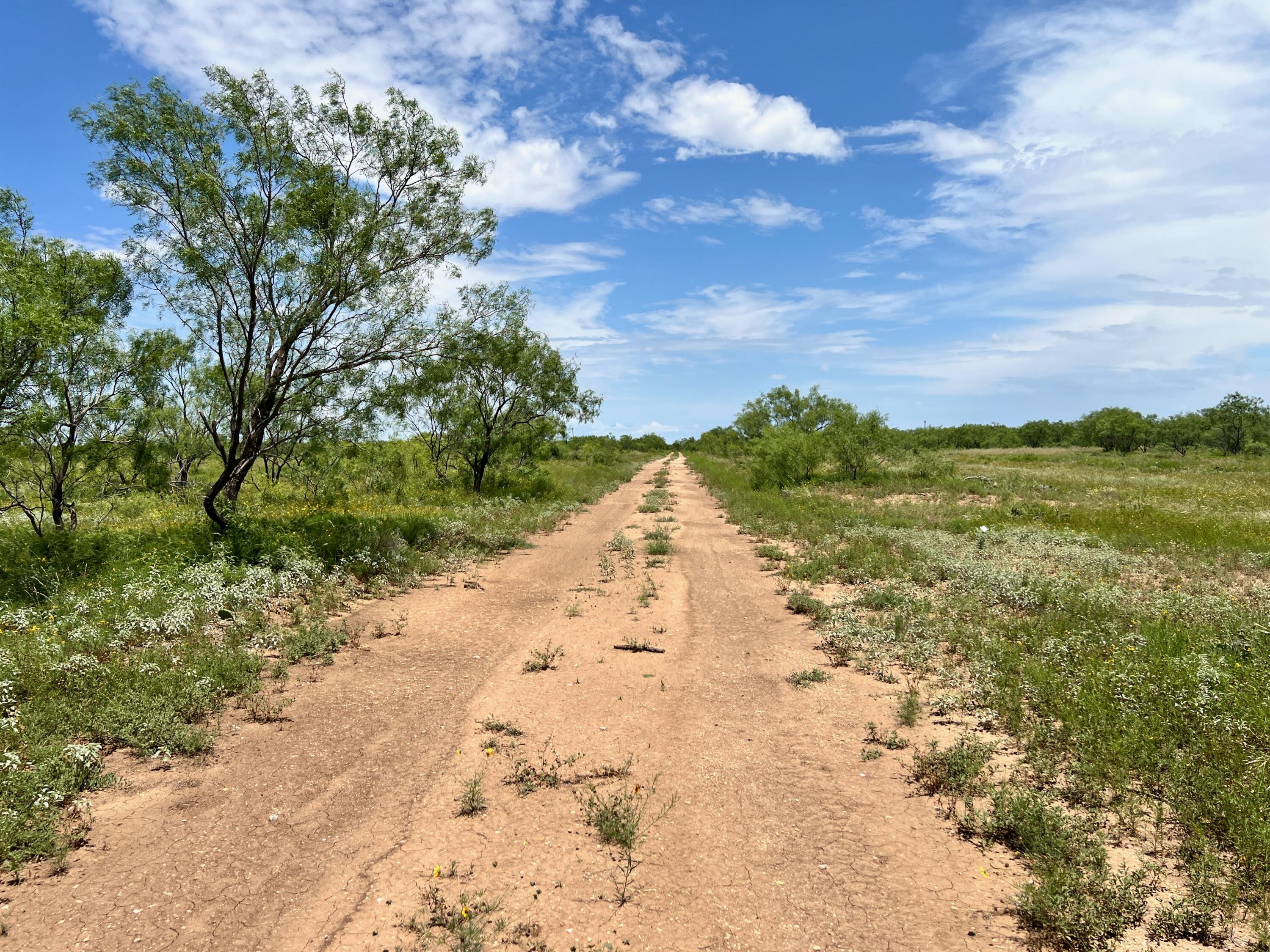 1818 County Road 267 Ballinger, TX 76821 - Photo 61 of 70 IMG_8623
