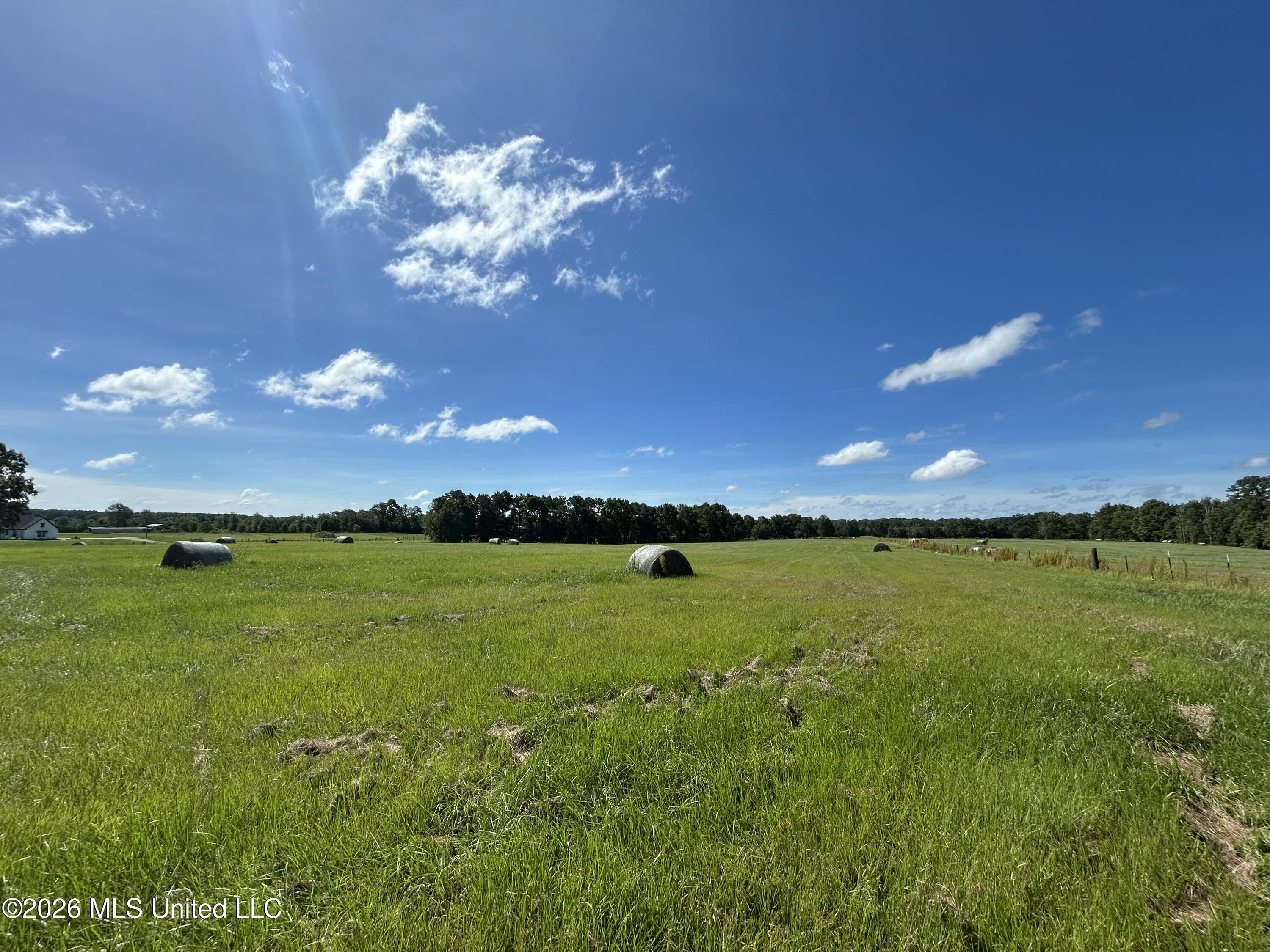 2546 Bogue Chitto Road Southwest Smithdale, MS 39664 - Photo 28 of 28 IMG_5253