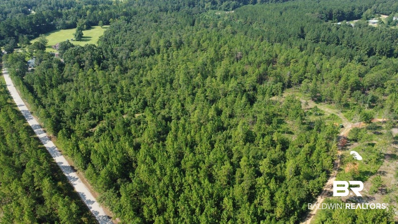 0 Jerkins Loop Atmore, AL 36502 - Photo 3 of 50