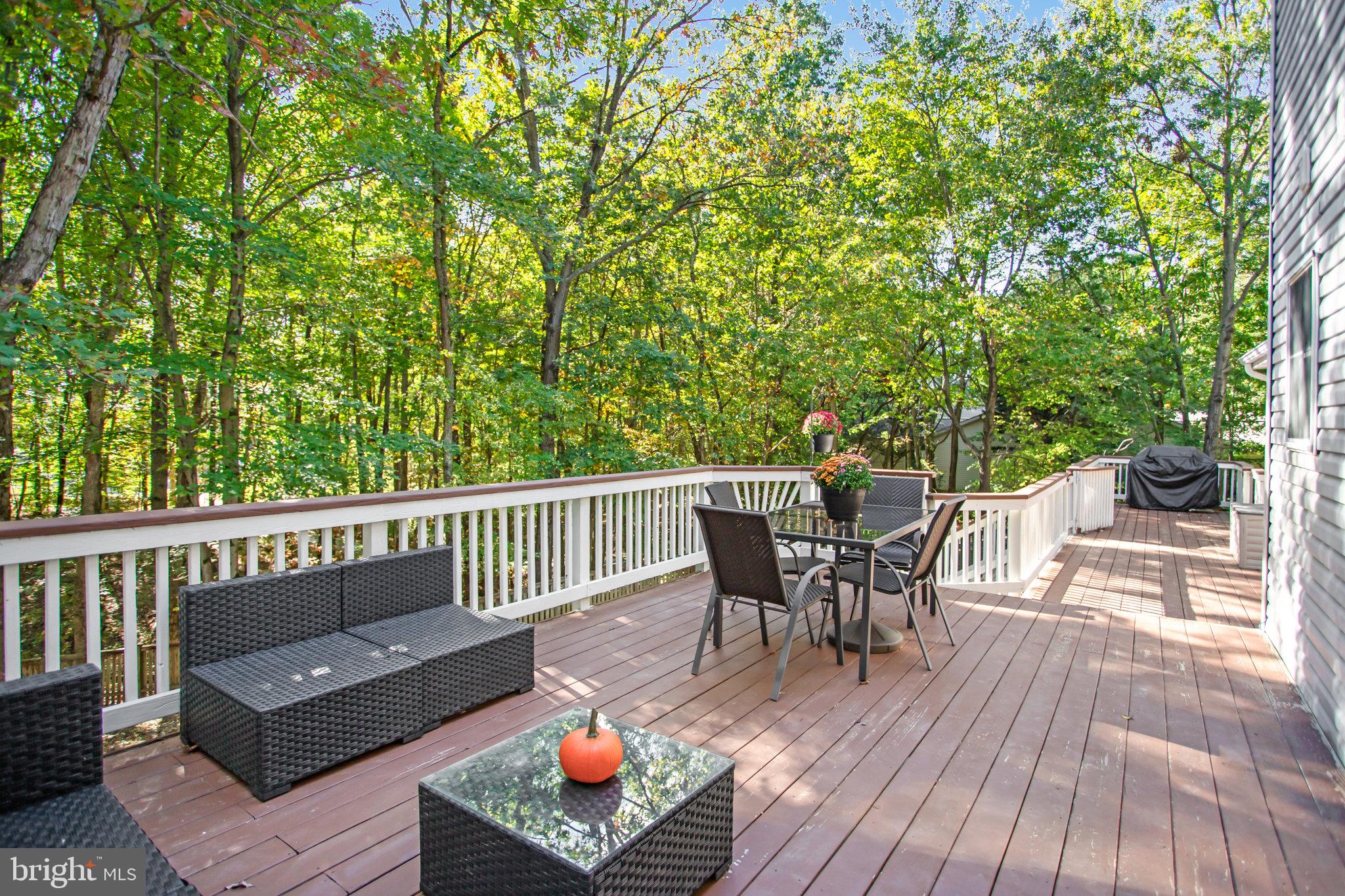 19012 Cattail Lane Poolesville, MD 20837 - Photo 61 of 81