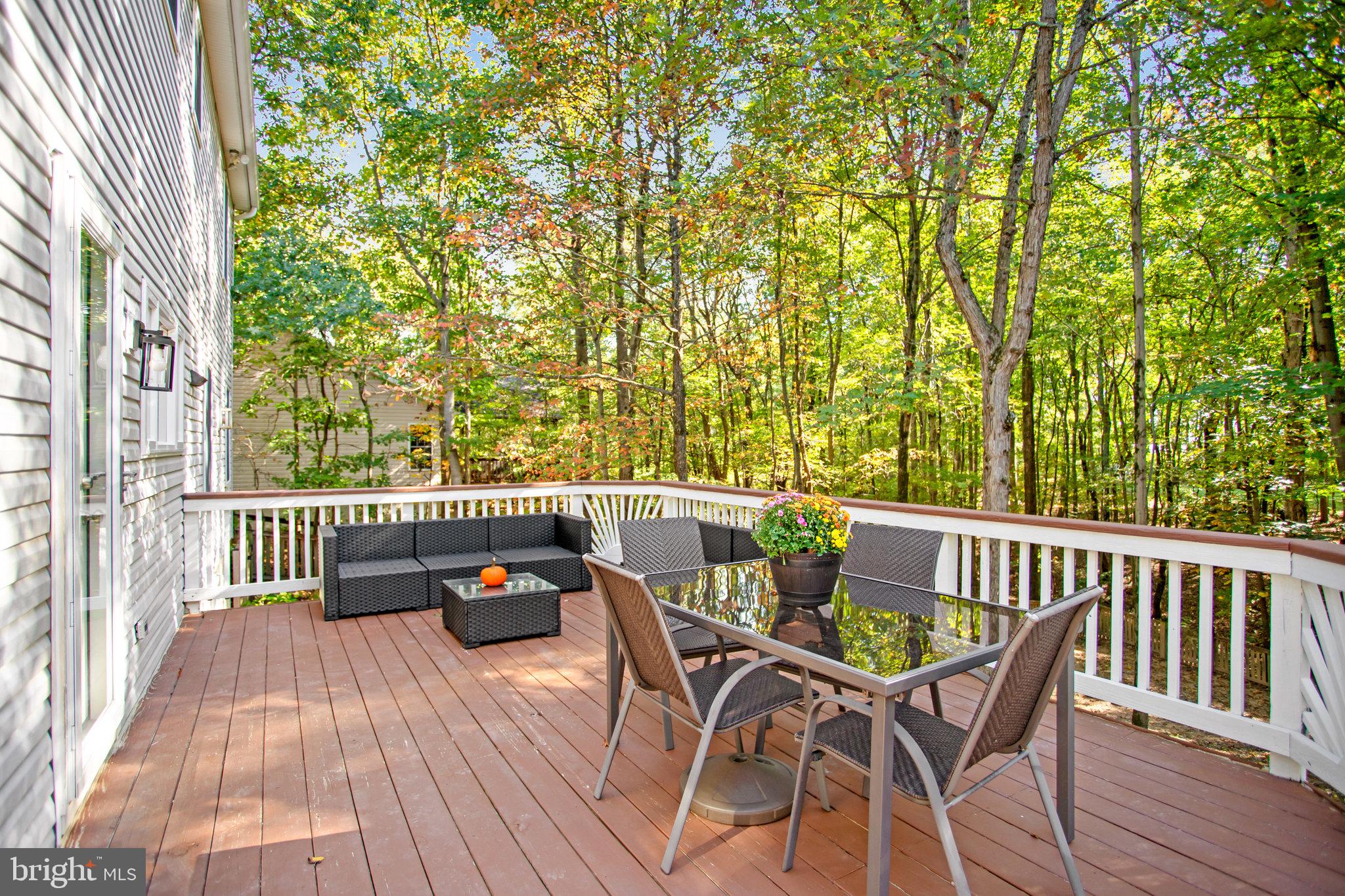 19012 Cattail Lane Poolesville, MD 20837 - Photo 63 of 81