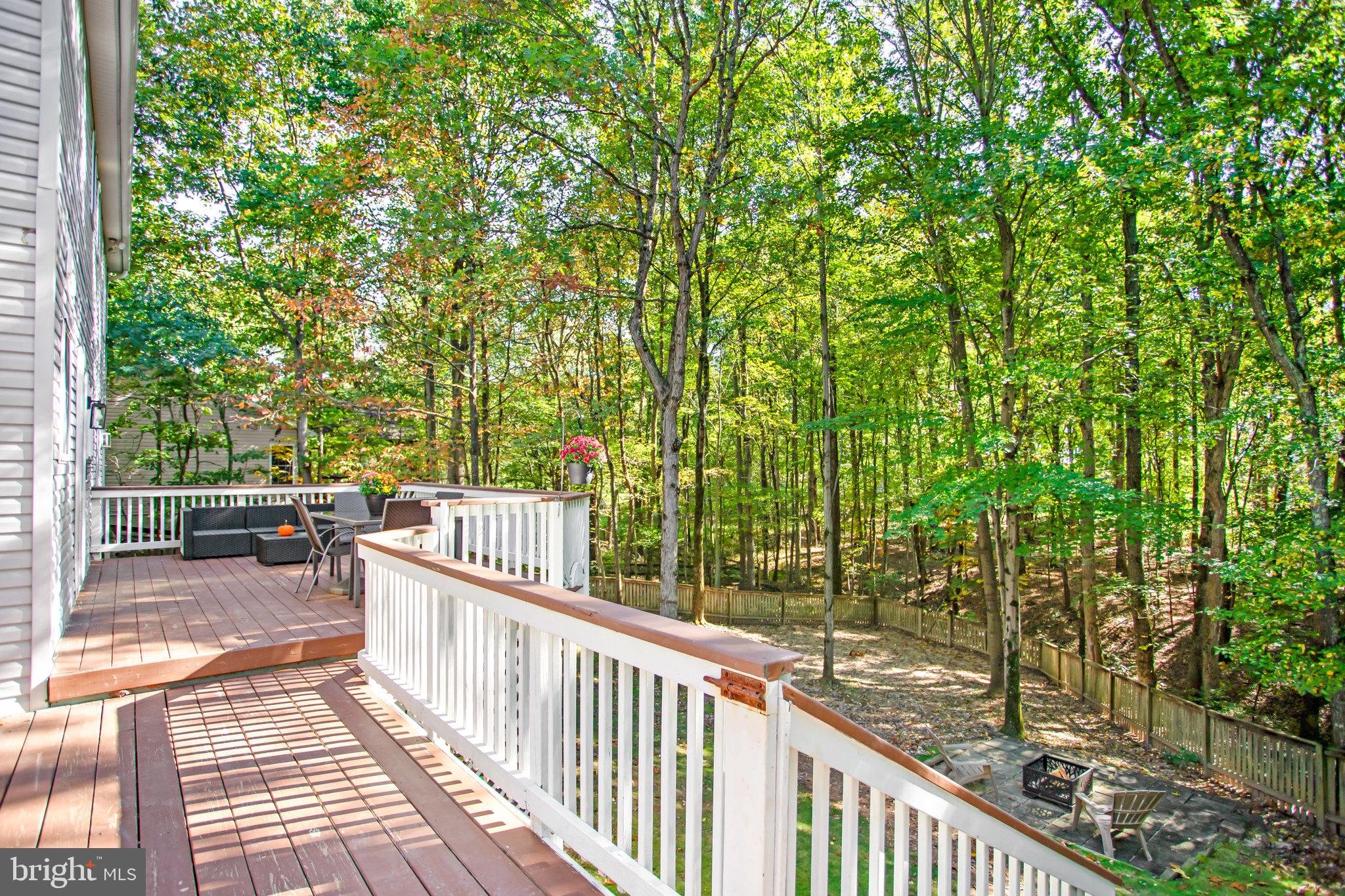 19012 Cattail Lane Poolesville, MD 20837 - Photo 64 of 81