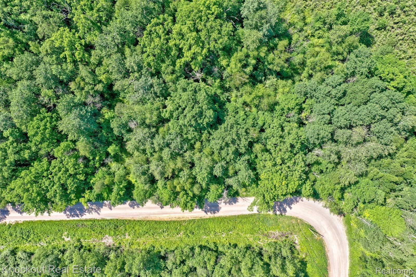 1000 West Kitchen Road Rhodes, MI 48652 - Photo 21 of 34 Kitchen Lots Bay County-18.jpg