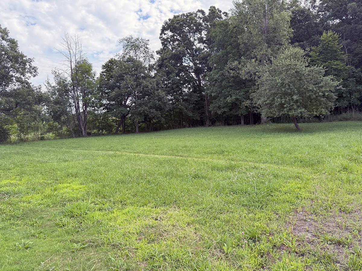 10765 Dorwood Road Burt, MI 48417 - Photo 34 of 34