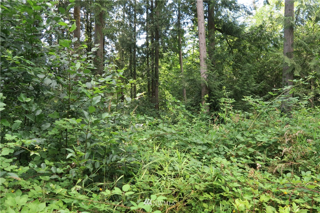 12822 Brown Road Monroe, WA 98272 - Photo 14 of 18