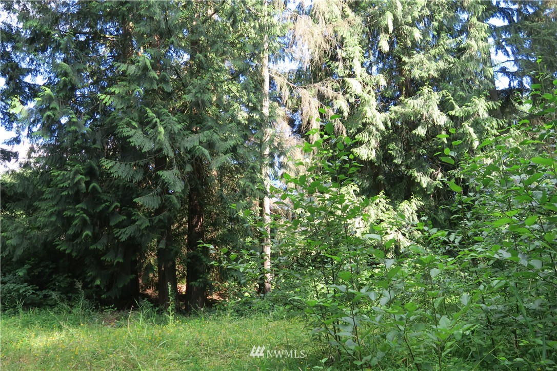 12822 Brown Road Monroe, WA 98272 - Photo 16 of 18