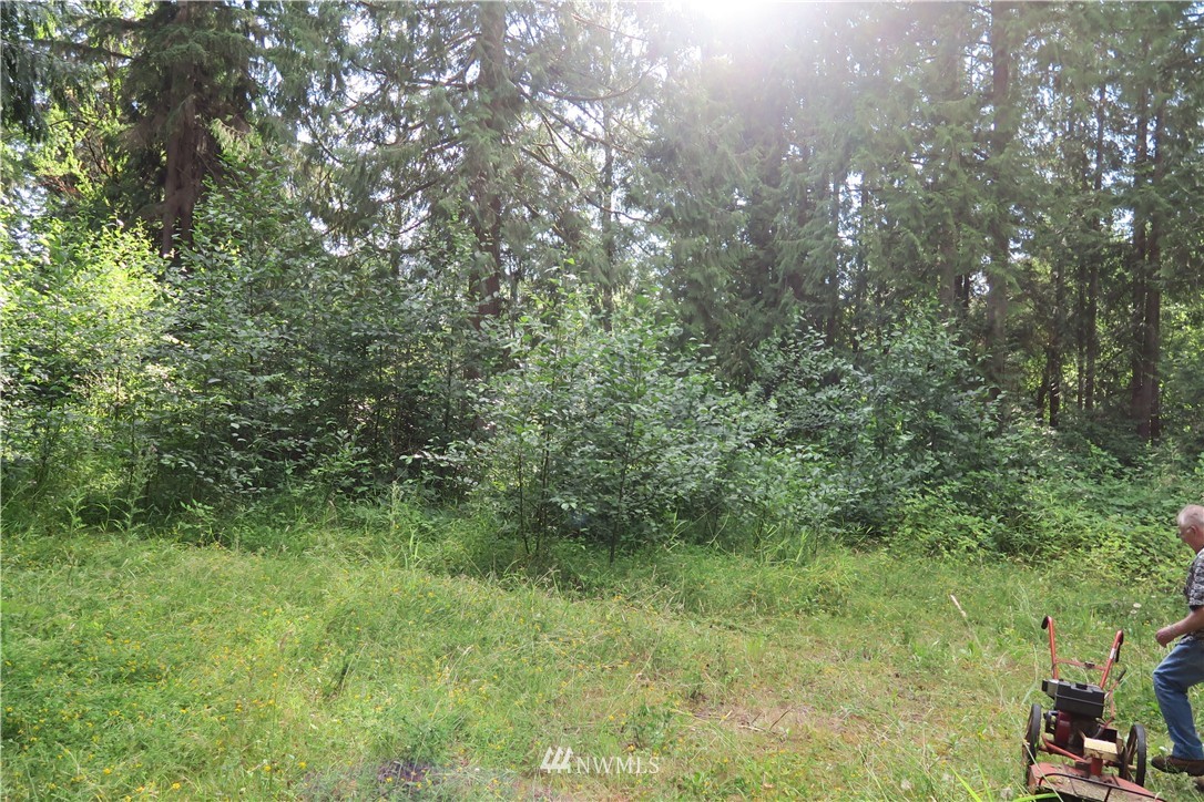 12822 Brown Road Monroe, WA 98272 - Photo 17 of 18