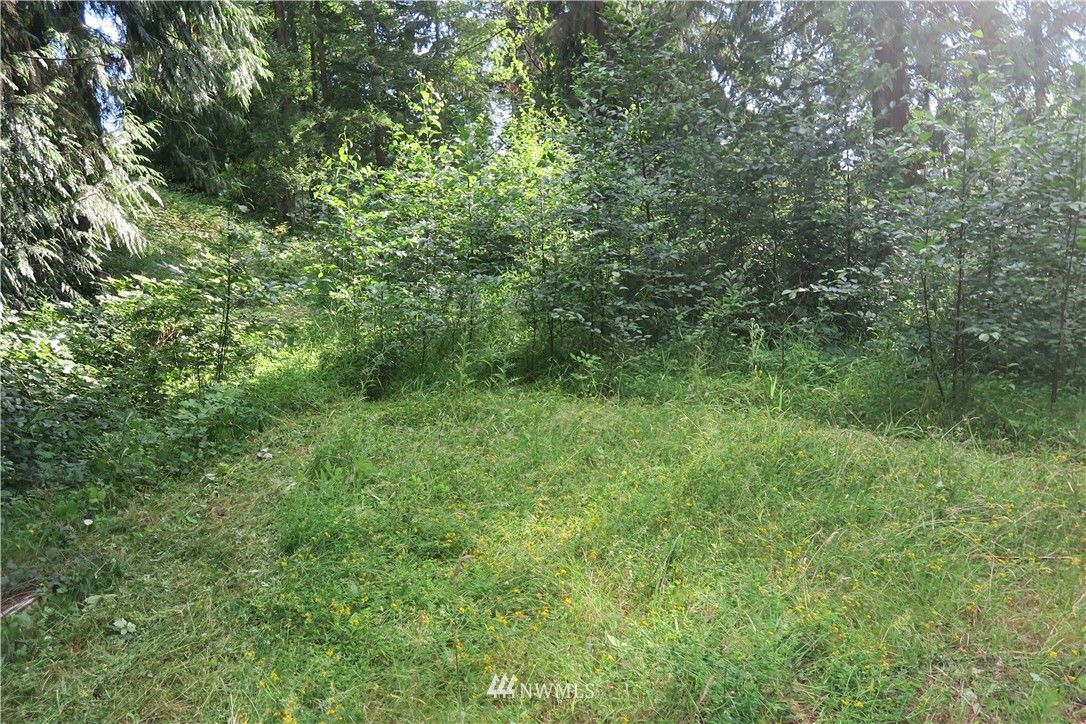 12822 Brown Road Monroe, WA 98272 - Photo 18 of 18