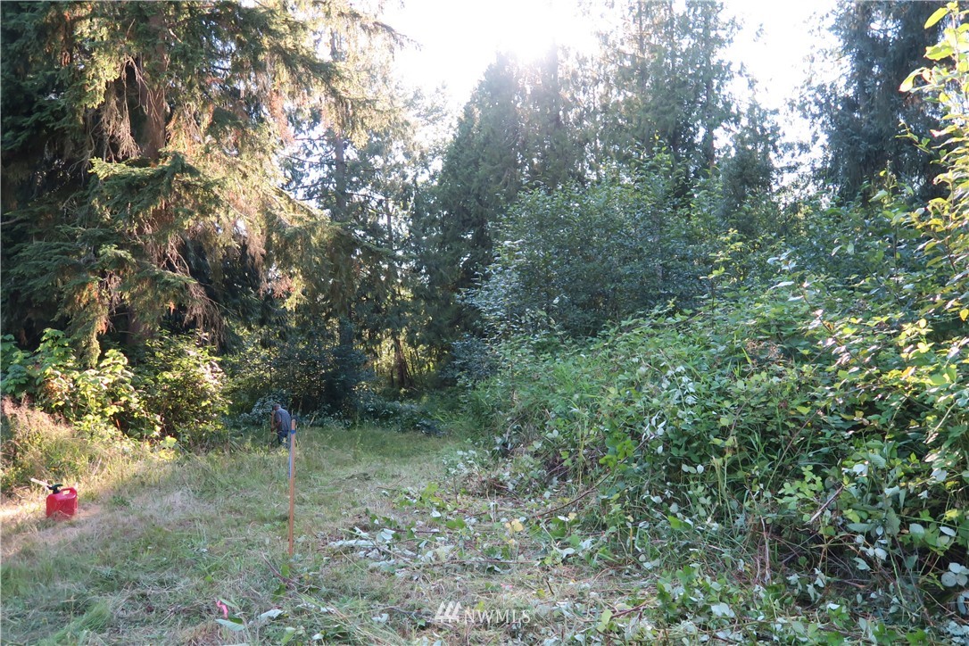 12822 Brown Road Monroe, WA 98272 - Photo 3 of 18