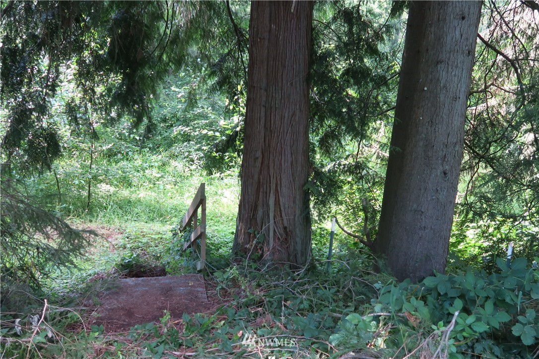 12822 Brown Road Monroe, WA 98272 - Photo 4 of 18