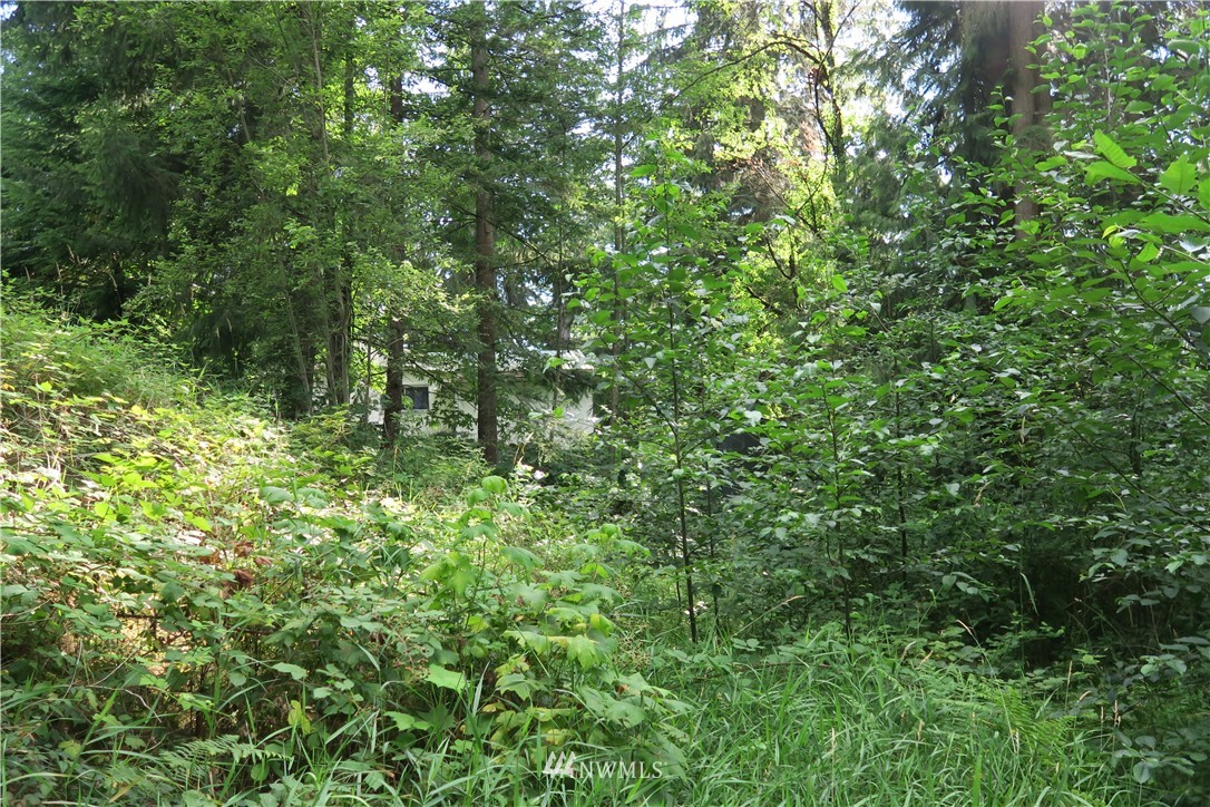 12822 Brown Road Monroe, WA 98272 - Photo 6 of 18