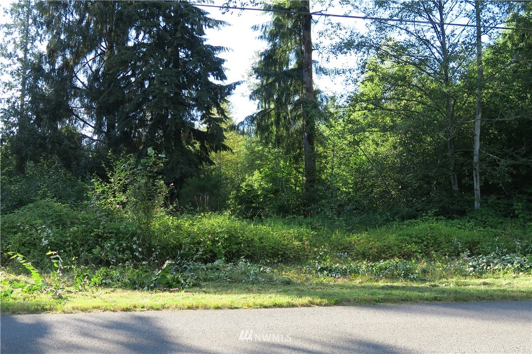 12822 Brown Road Monroe, WA 98272 - Photo 10 of 18