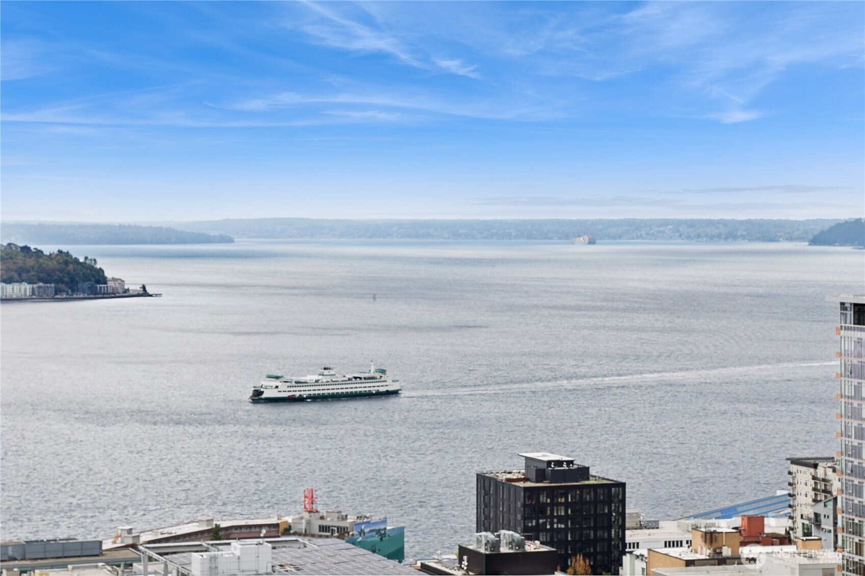 588 Bell Street, Unit 2902S Seattle, WA 98121 - Photo 2 of 40