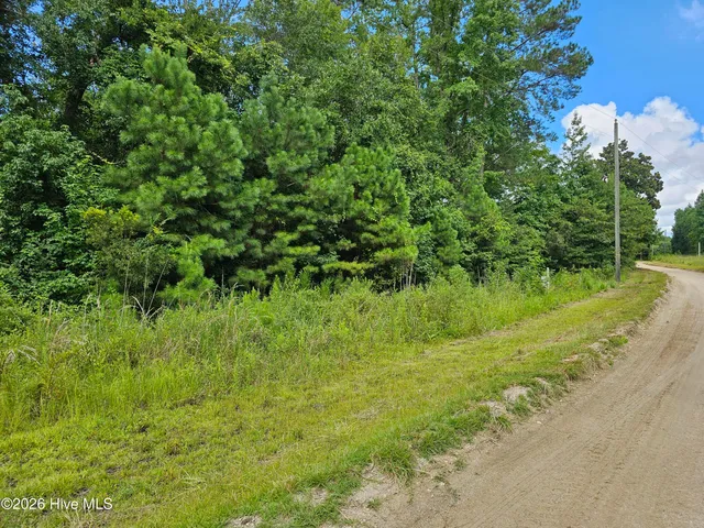 $60,000 | 7-8 Powell Lane, Loris, SC 29569