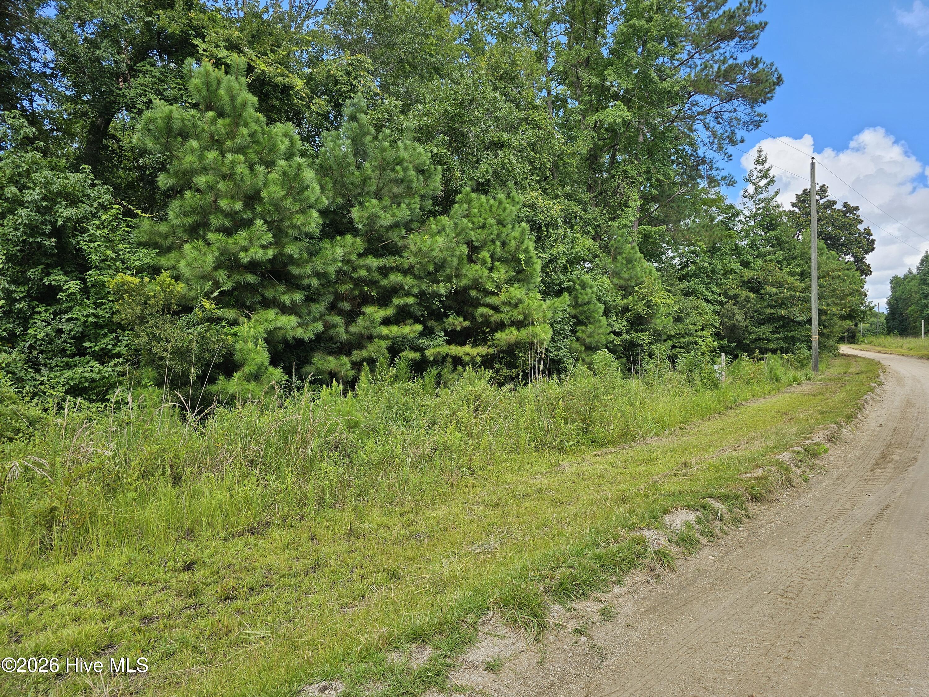 7-8 Powell Lane Loris, SC 29569 - Photo 5 of 5 20250806_155734 (1)