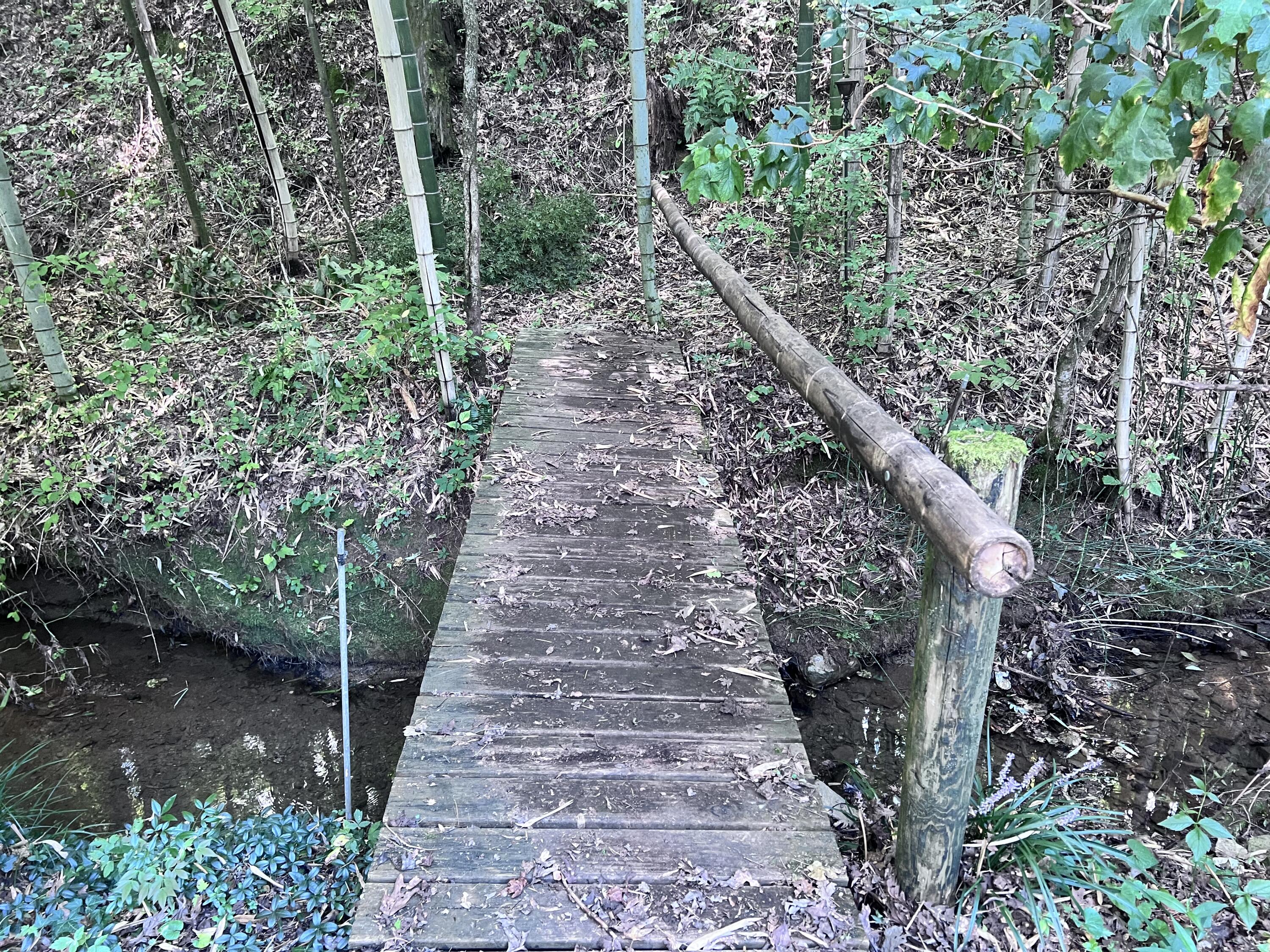 1600 Old Alabama Road Southwest McDonald, TN 37353 - Photo 64 of 72 IMG_0911