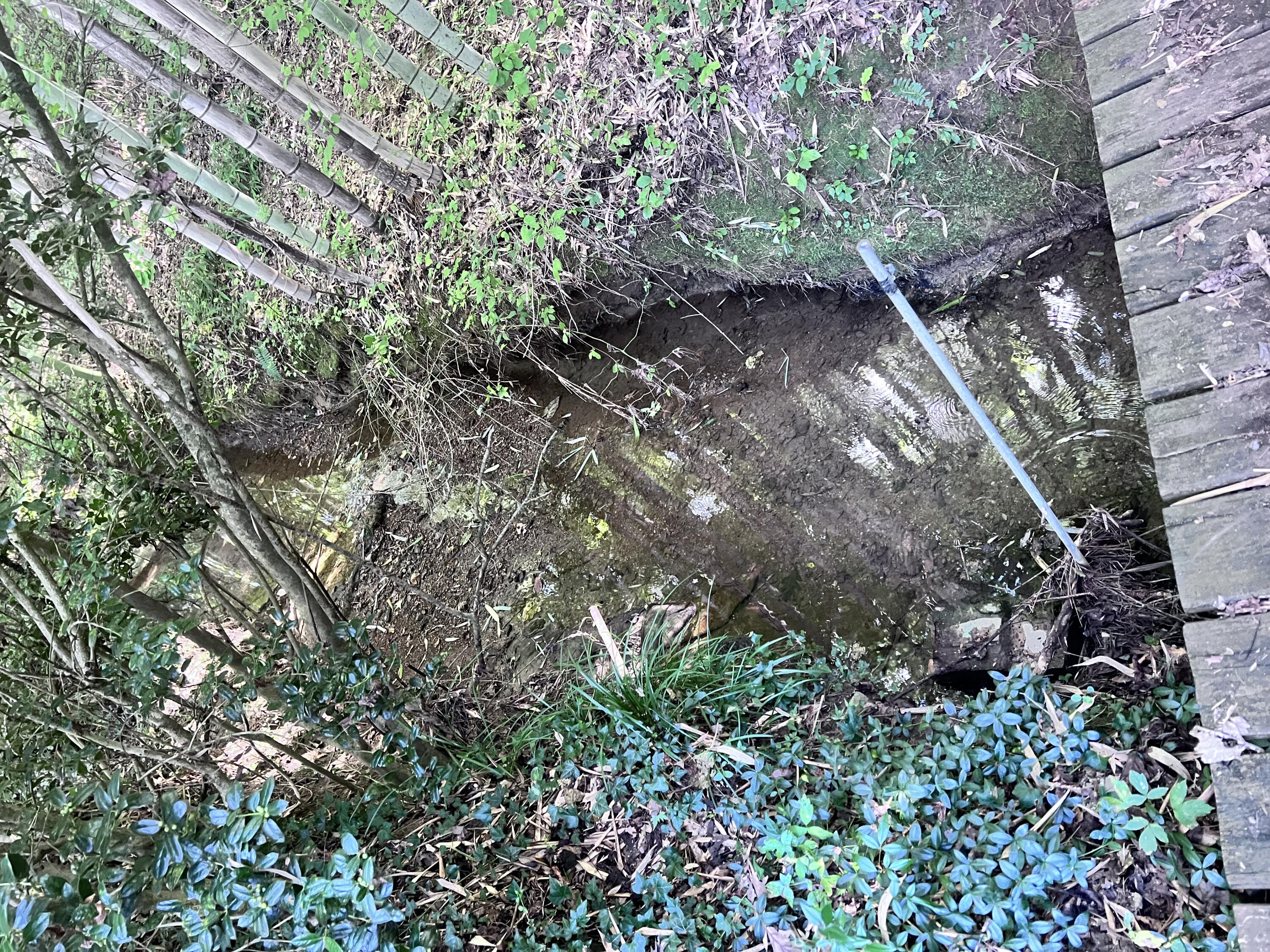 1600 Old Alabama Road Southwest McDonald, TN 37353 - Photo 65 of 72 IMG_0912