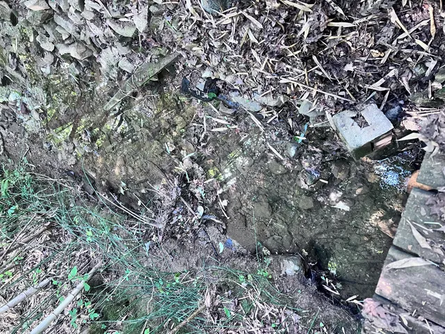 $240,000 | 1600 Old Alabama Road Southwest, McDonald, TN 37353