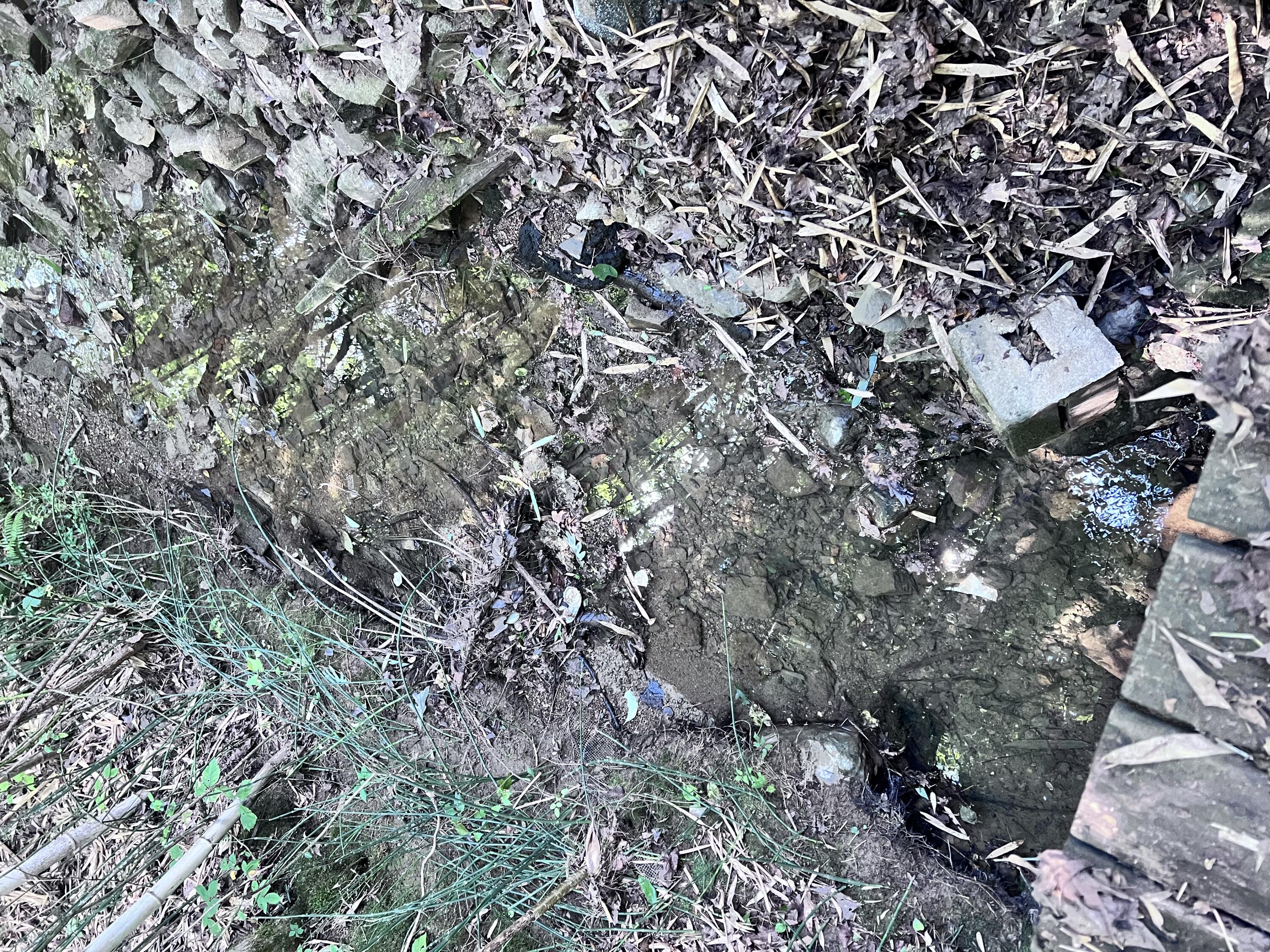 1600 Old Alabama Road Southwest McDonald, TN 37353 - Photo 66 of 72 IMG_0913