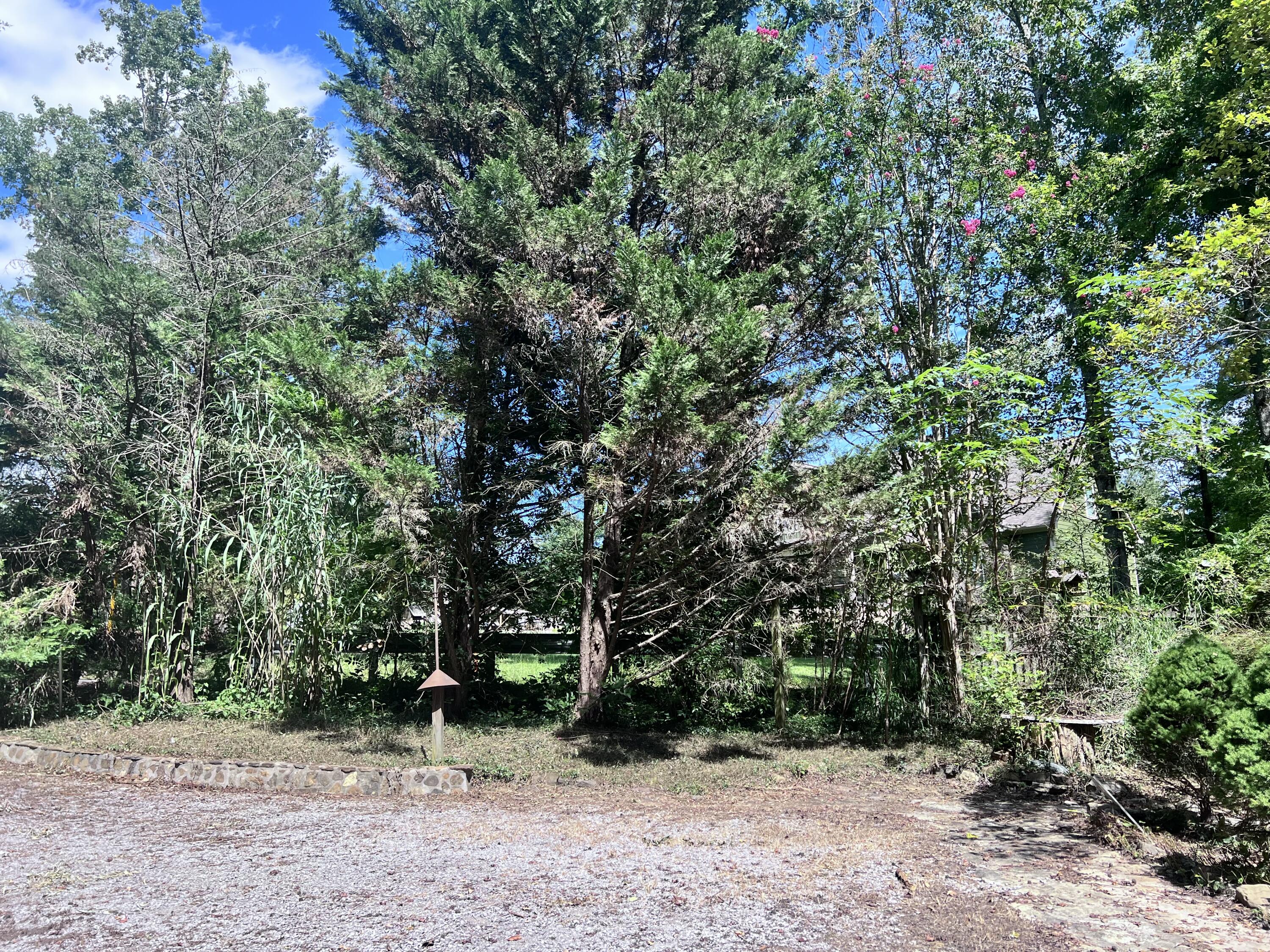 1600 Old Alabama Road Southwest McDonald, TN 37353 - Photo 69 of 72 IMG_0917