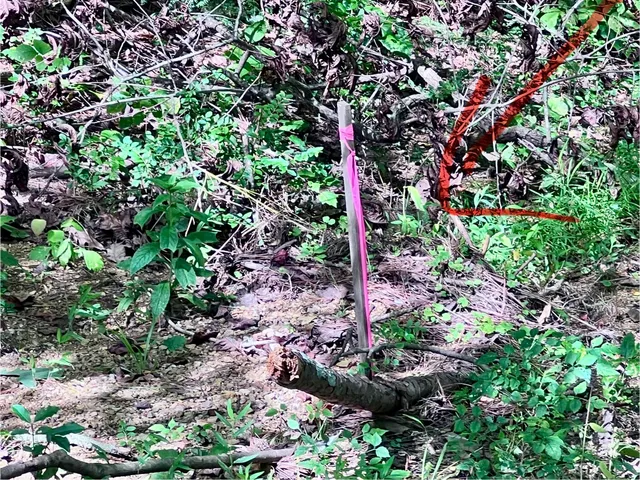 $240,000 | 1600 Old Alabama Road Southwest, McDonald, TN 37353