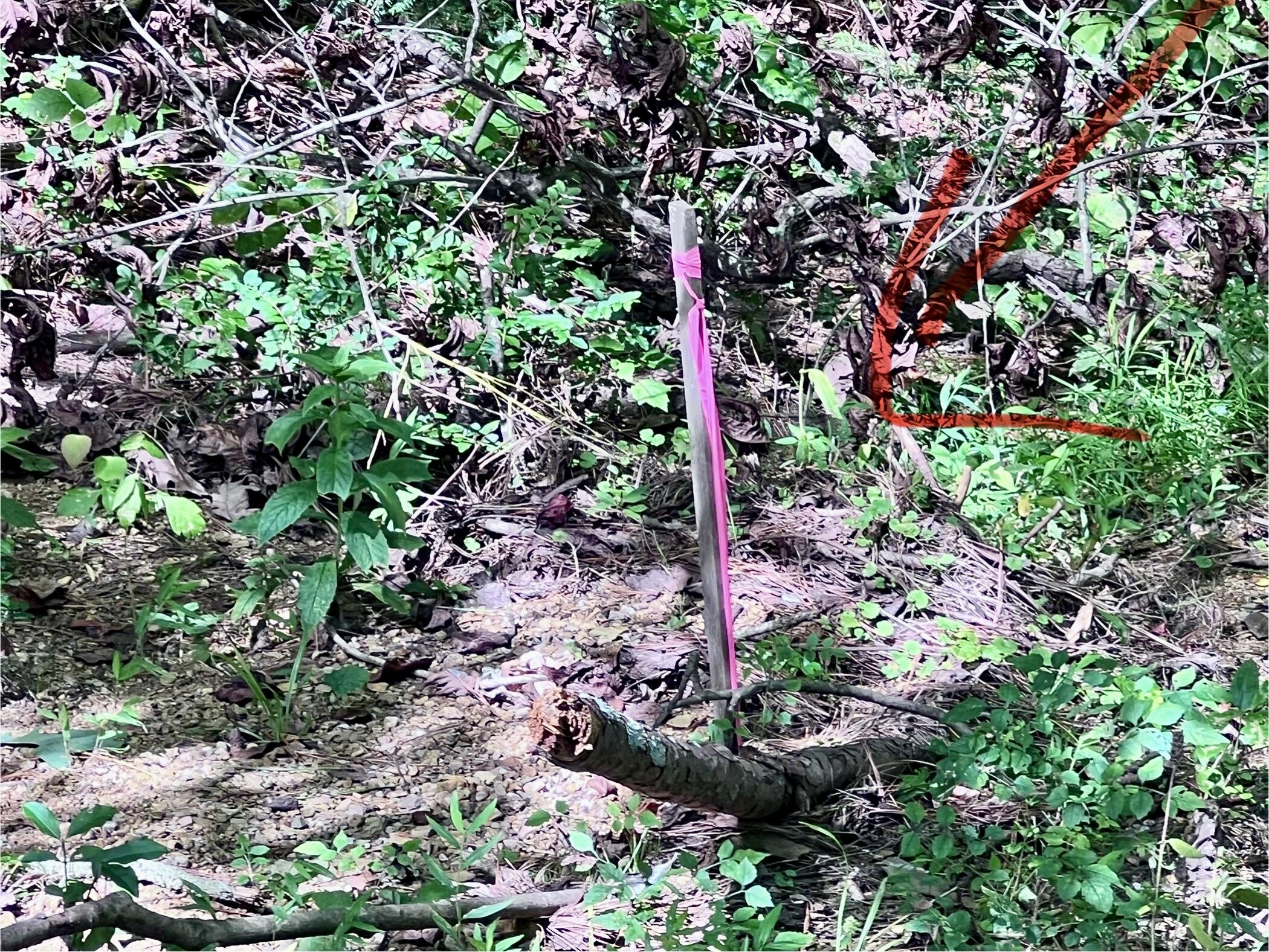 1600 Old Alabama Road Southwest McDonald, TN 37353 - Photo 71 of 72 IMG_0895