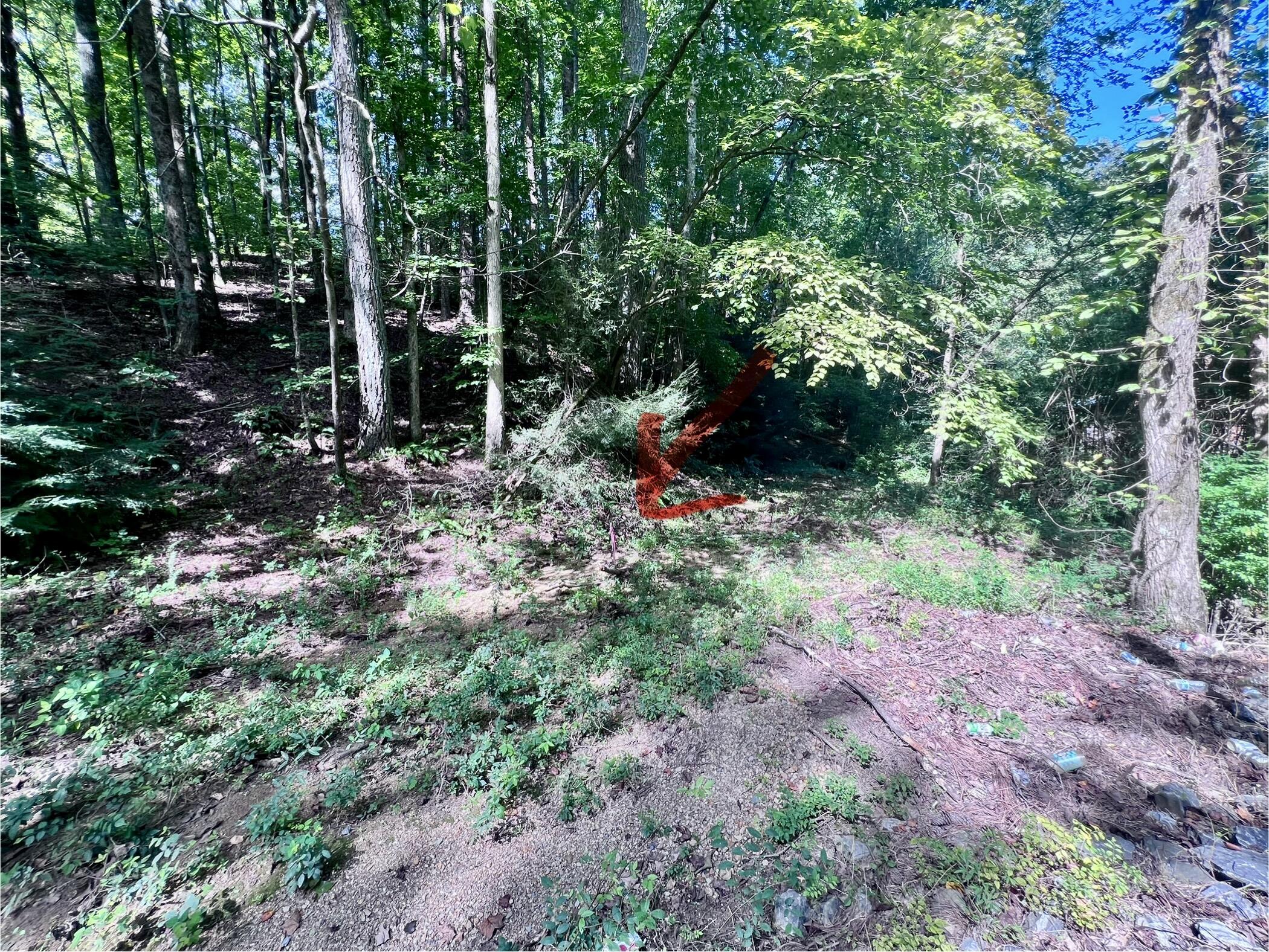 1600 Old Alabama Road Southwest McDonald, TN 37353 - Photo 72 of 72 IMG_0894