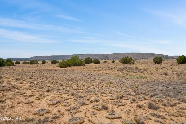 $30,000 | 0 North Arroyo Drive, Seligman, AZ 86337