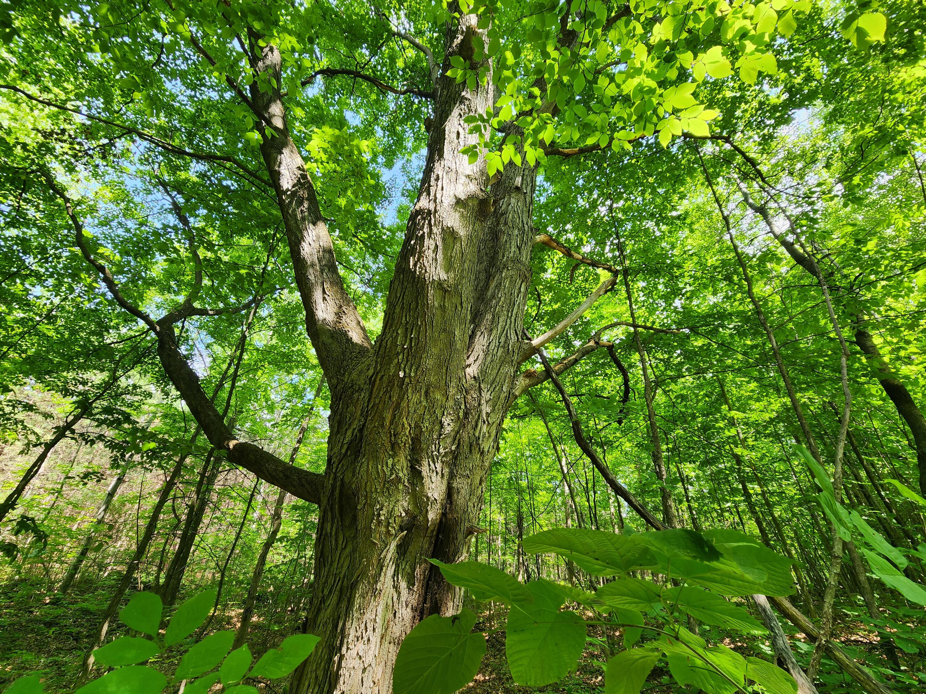 Winding Trail Fairview, MI 48621 - Photo 25 of 47 Gallery Image 25