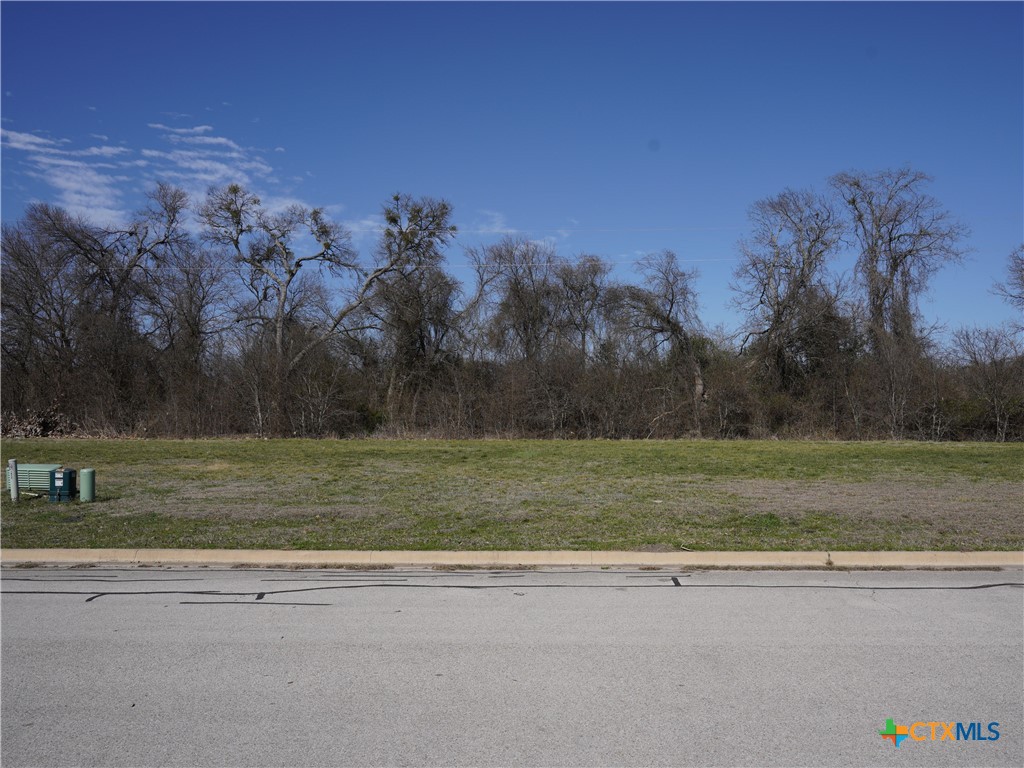1920 Friars Grove Drive Temple, TX 76502 - Photo 1 of 7 a view of a yard