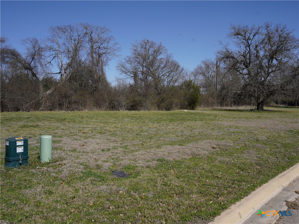 1920 Friars Grove Drive Temple, TX 76502 - Photo 2 of 7 a view of a field with an trees
