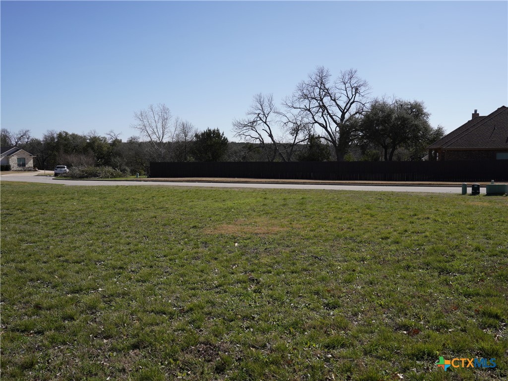1920 Friars Grove Drive Temple, TX 76502 - Photo 3 of 7 a view of outdoor space and yard