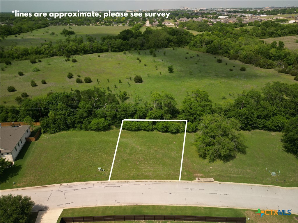 1920 Friars Grove Drive Temple, TX 76502 - Photo 6 of 7 a view of a field with a park
