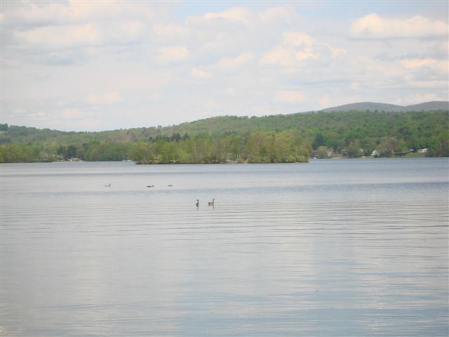 55 Ridge Avenue Pittsfield, MA 01201 - Photo 10 of 12 lake
