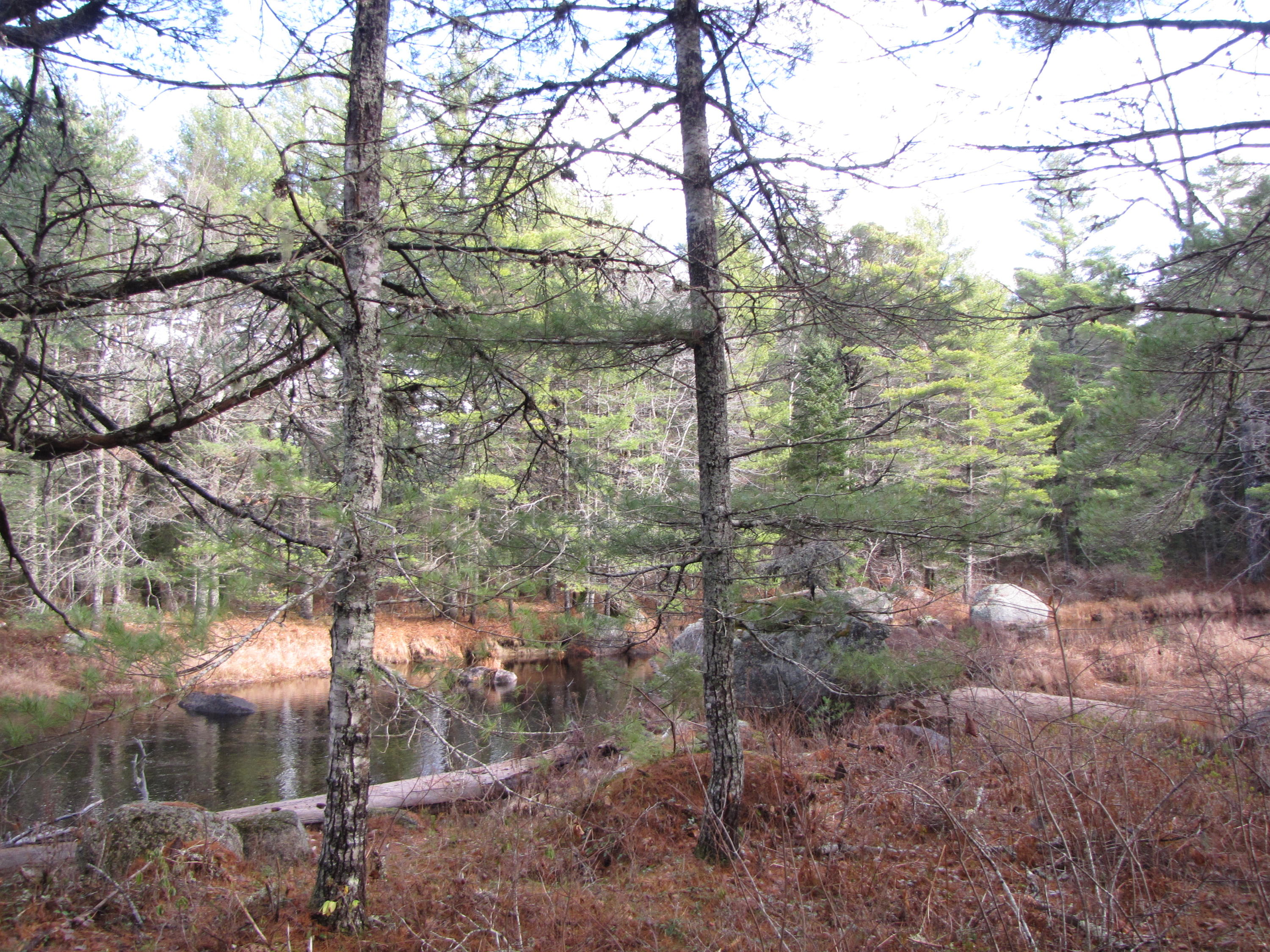 X X Off Ccc Road Machias, ME 04654 - Photo 9 of 57 IMG_1609