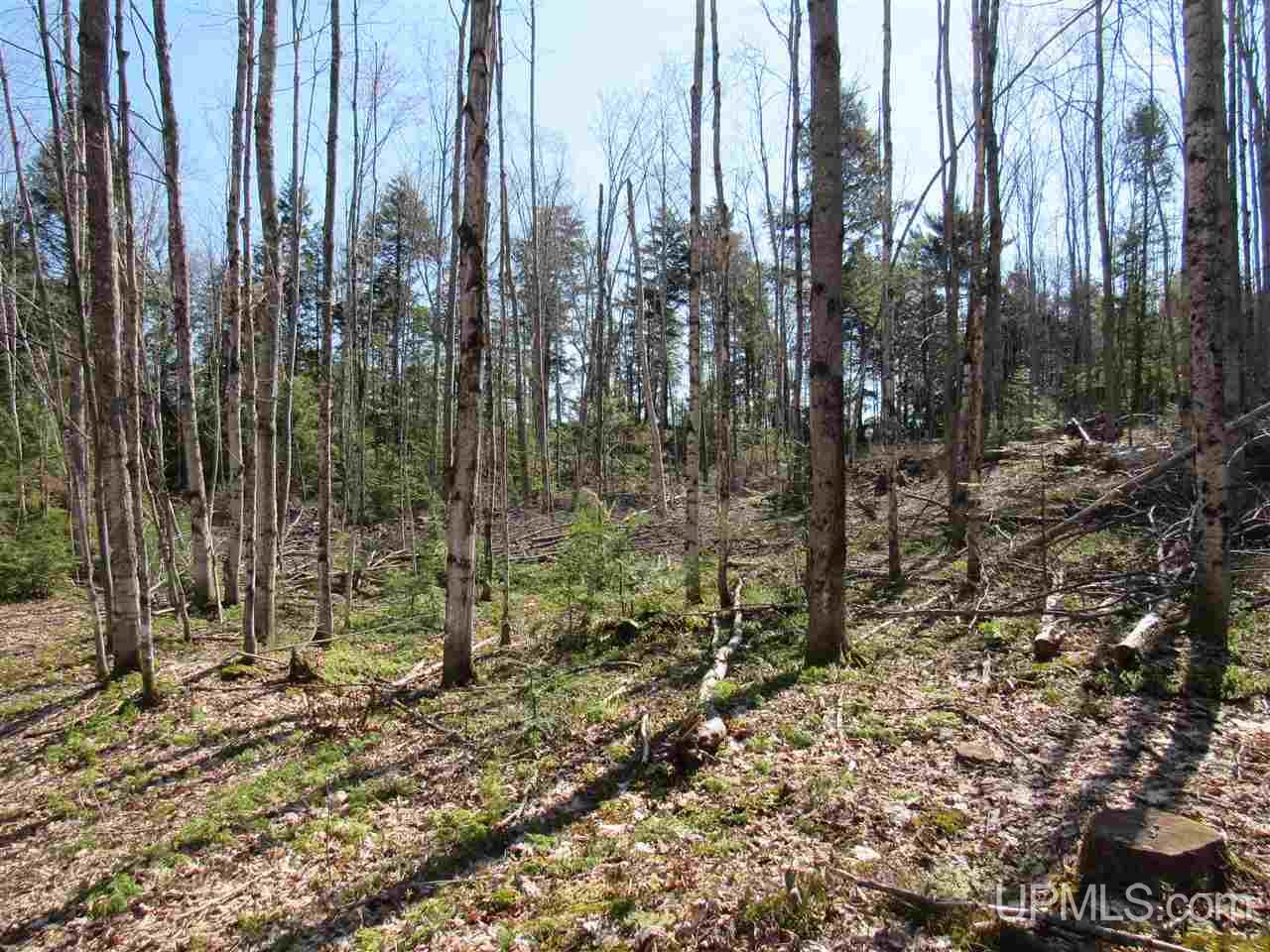 N2510 Co Rd Kch Big Bay, MI 49808 - Photo 19 of 39