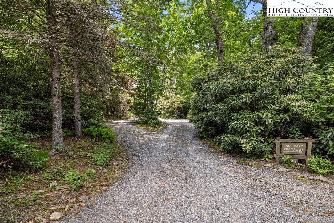 167 Gooseberry Way Boone, NC 28607 - Photo 47 of 50 Gallery Image 47