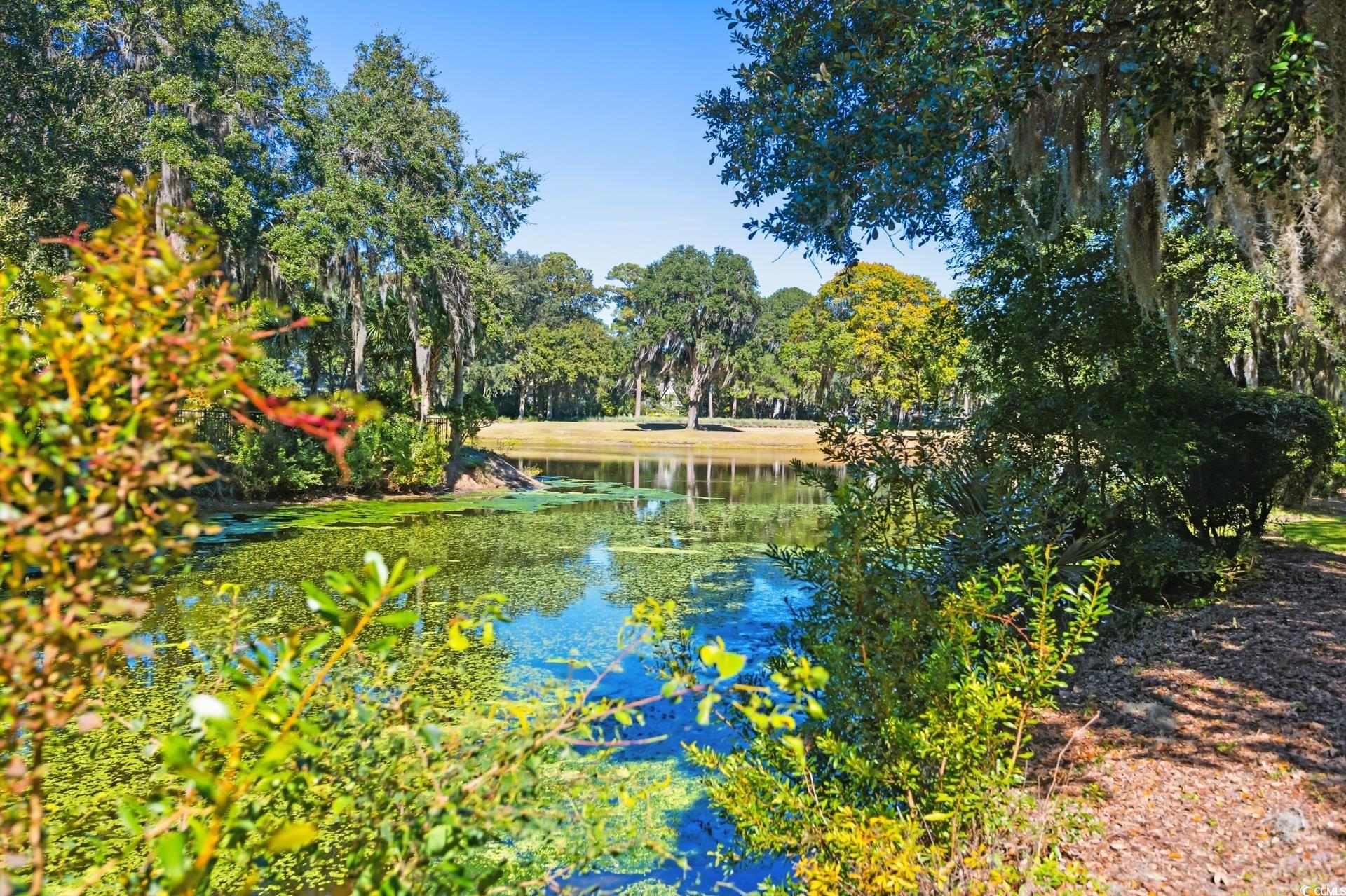 15 Pinckney Lane Georgetown, SC 29440 - Photo 24 of 27