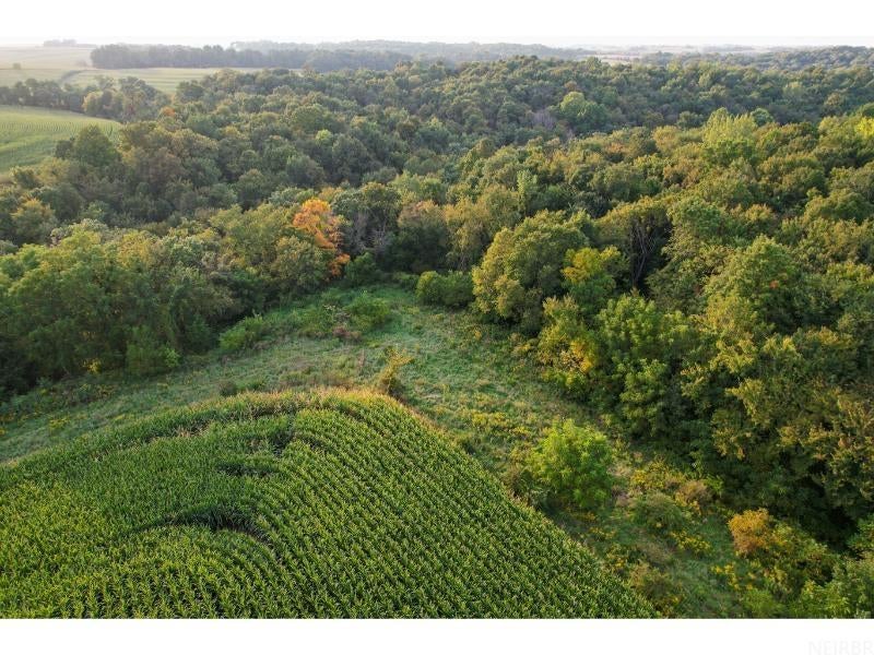 0 Gold Mine Road McGregor, IA 52157 - Photo 19 of 27 Gallery Image 19