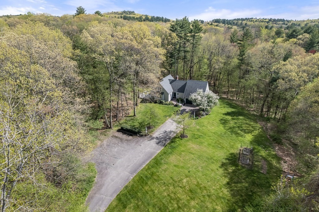 24 Parmenter Road Framingham, MA 01701 - Photo 13 of 42 a view of a forest with a mountain