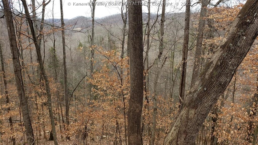 0 Surveyor Creek Road Lester, WV 25865 - Photo 7 of 22 Gallery Image 7