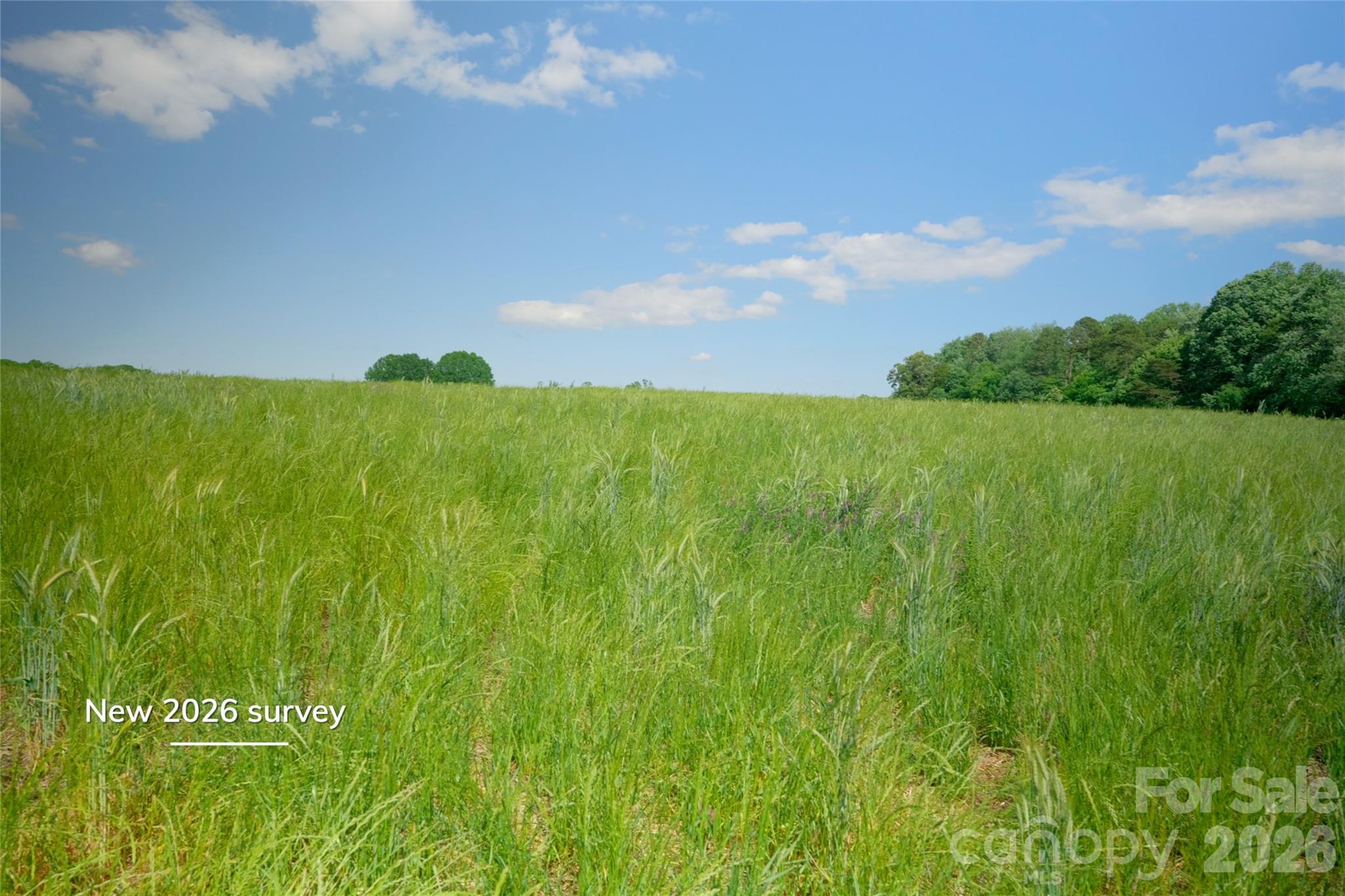 1 Powell Bridge Road, Unit 1 Harmony, NC 28634 - Photo 6 of 16