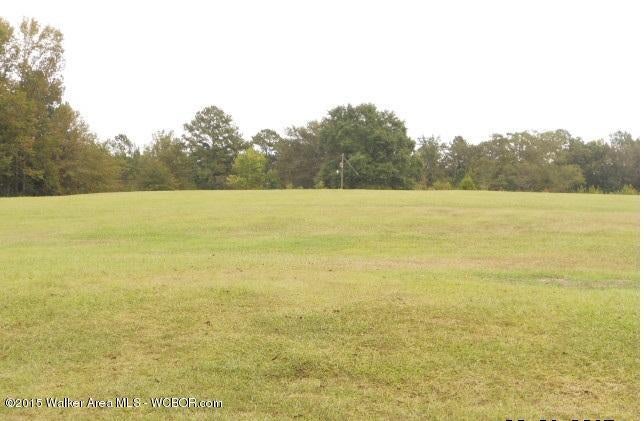 948 Anderson Road Jasper, AL 35503 - Photo 14 of 22 Gallery Image 14